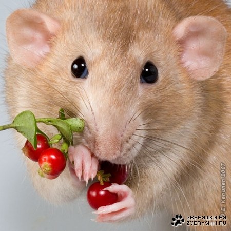 � � ���� ��� ��� ���� ;)