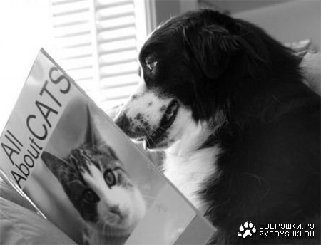 ���� ��� ����� � ������! :)