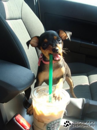 ��� ��� ���������� :)