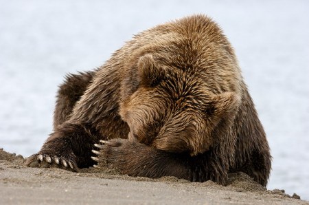 ����� � ������!