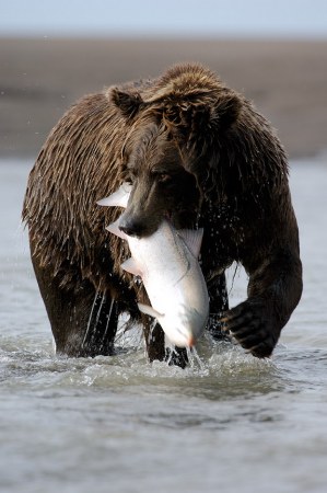 ����� � ������!