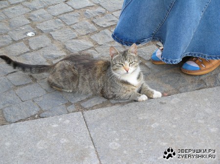 �������� ���������� ����� :)