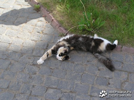 �������� ���������� ����� :)