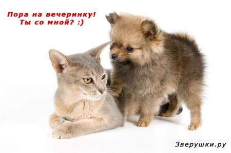 ������� ��� ��������! :)