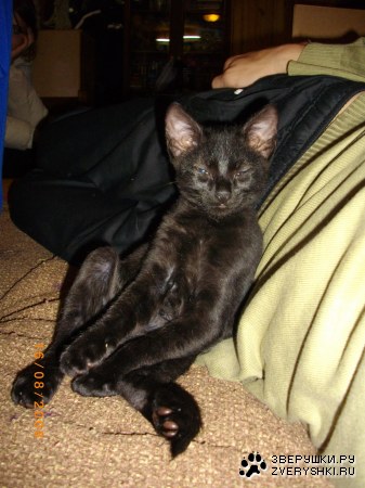 ������� ����� :)