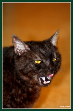 ��� ������ ;)