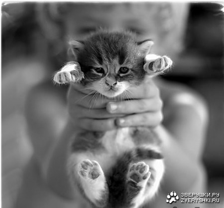 ������� ;)