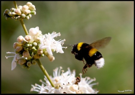 ������������ ������ :)