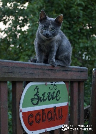 ��������? ;)