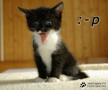 �������� �� ��� ������ �����! (11 ����)