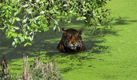 � � �������� ����� :)