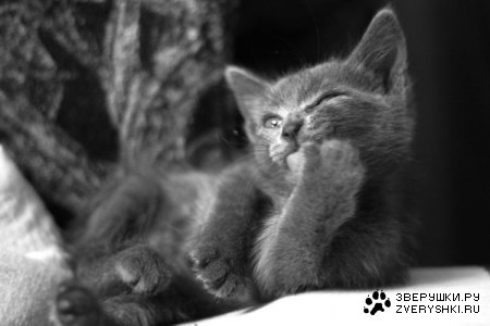 ��� �� ��� ��� ���������? :)