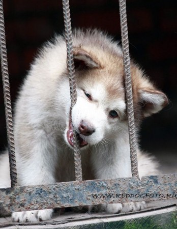 ���������� :)