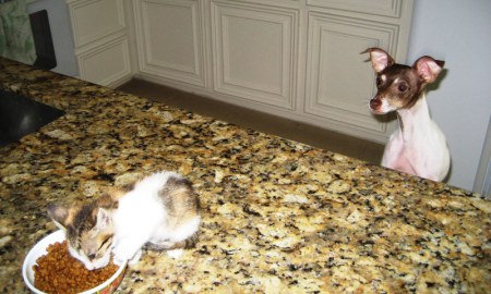 ������ �������� ;)