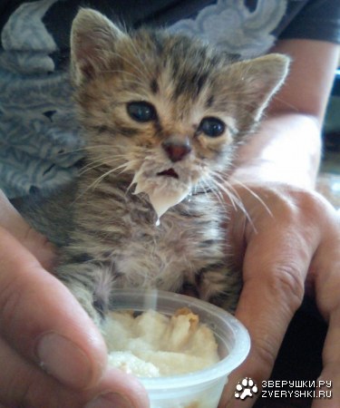 ����� ��������� :)