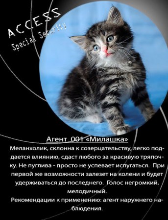 ������ �� �������! (12 ����)