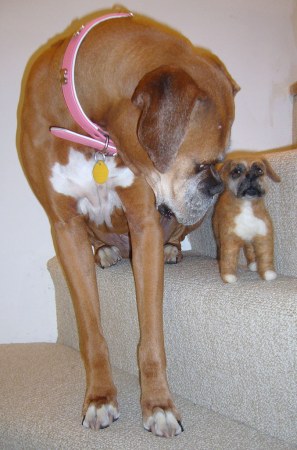 �������� �������� ������� (12 ����)