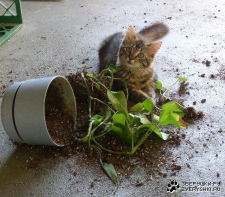 ��� �� �, ������� ����� :)