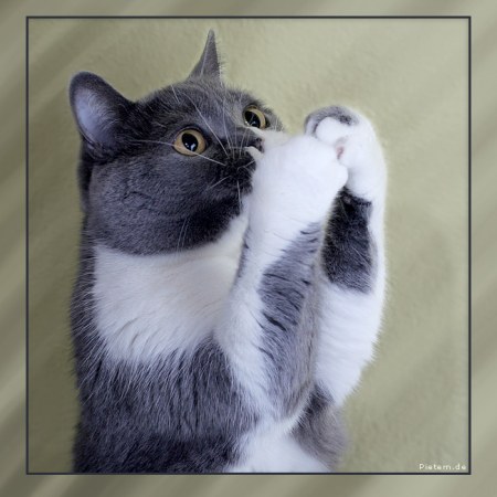 ����� � ������ (15 ����)