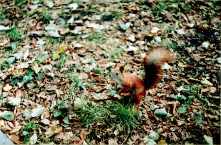 �����-����������! :)