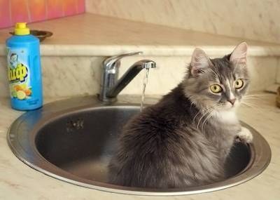 ��� ������ ��������! :)