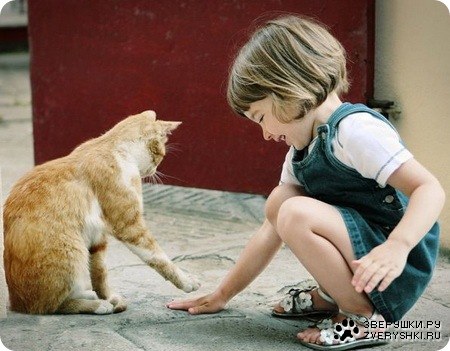 ��� ������! (12 ����������)