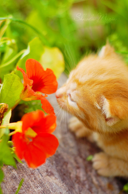 Отличных вам выходных! :)