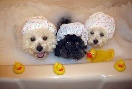 �������� ���������� :)