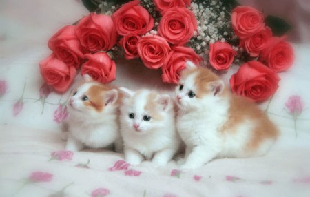 ��� ������-���������!