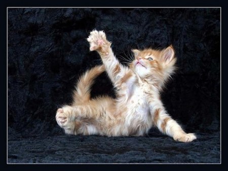 �������������� ������ (25 ����)