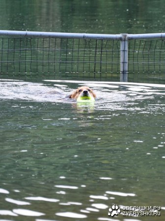 ��� ��� ���? :)