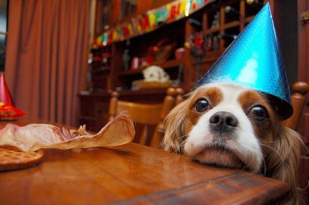 ��������� ��� �������� (7 ����)