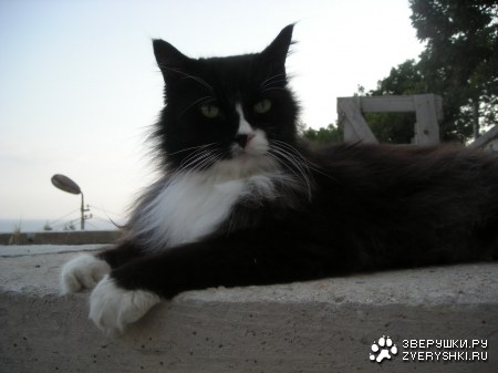 ������ ���! (6 ����������)