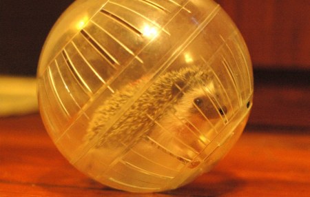 ������� ����! :)