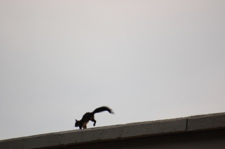 ���������� �������