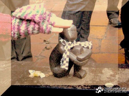 ����� � ����