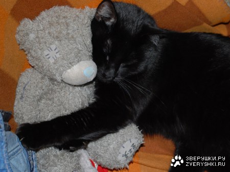 ����� � �� �����...