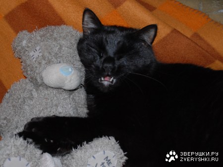 ����� � �� �����...