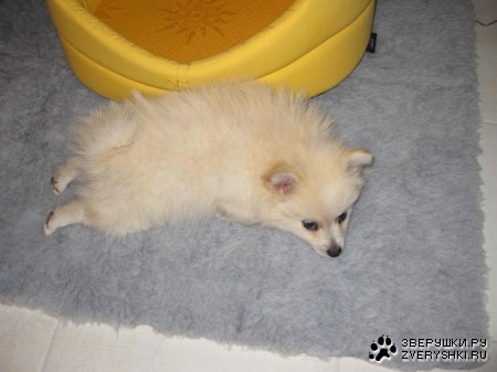 ��� ������� ��� ����! (9 ����)