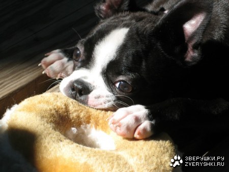 ��������� ������ ;)