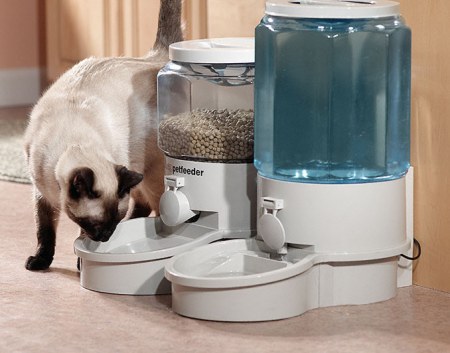 �������� ���������� ��� ��������