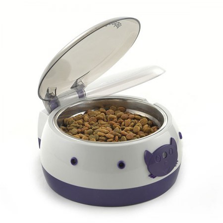 �������� ���������� ��� ��������