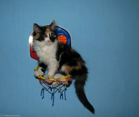 �������������� ������� ���� (5 ����)