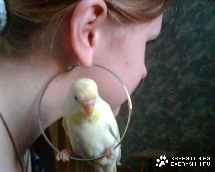 Вот так вот :)