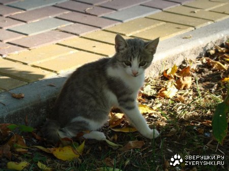 ���������� ;)