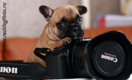 ������ ����������!