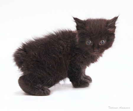 ��� �� ��� �����?! (6 ����������)