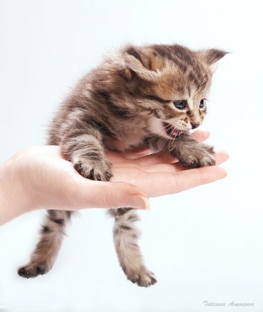 ��������� �������� :)