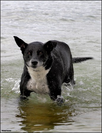 ����� ����!