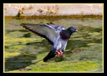 ���� �������� ���������, ��... :)